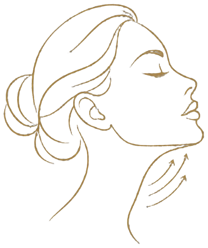 Contorno facial